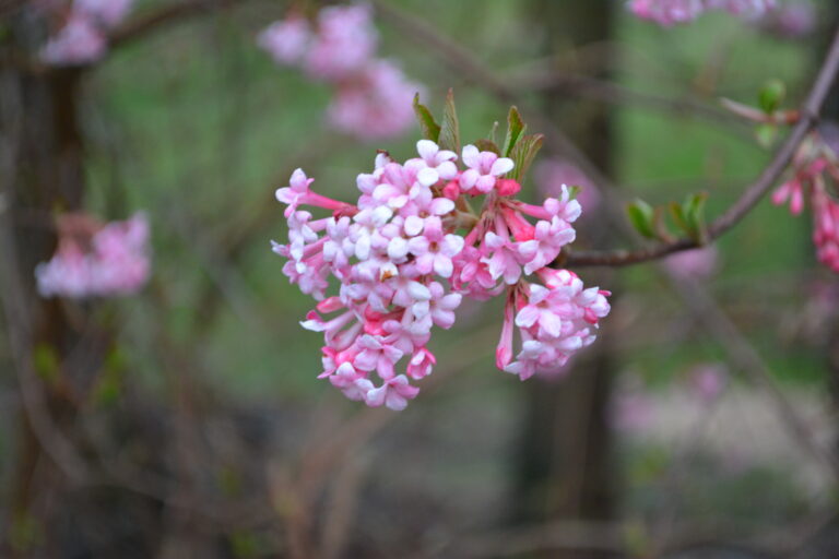 La beauté de la découverte