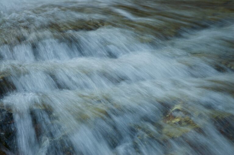 Premier article à moi aussi (et c’est un secret…)